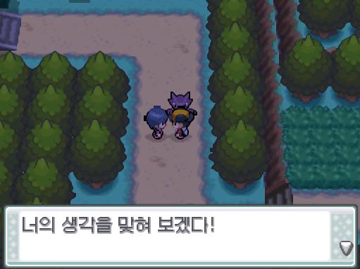 "너의 생각을 맞혀보겠다!" 36번도로에서 초능력자 빈이 승부를 걸어왔다! 36번도로에서 포켓몬과 만날 수 있는 횟수: 최대 1회/현재 0회 3
