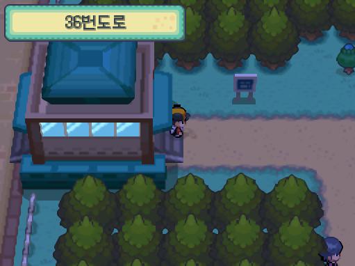 "너의 생각을 맞혀보겠다!" 36번도로에서 초능력자 빈이 승부를 걸어왔다! 36번도로에서 포켓몬과 만날 수 있는 횟수: 최대 1회/현재 0회 3
