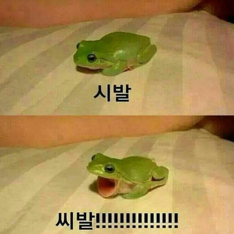 이틀동안 존나 울적해서 밥 한끼먹고 화장실 한 번 가고 잠만 존나 쳐자다가 컴포즈 민트 생초콜릿 라떼라는 걸 발견해서 먹으려 했더니 단종이더라.