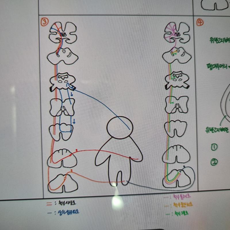 교수님.. 저의 피나는 노력이 보이십니까... 눈알 빠질 거 같아요