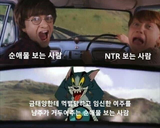 >>114 뭔가 둘이 빻은 방향이 좀 다름 남성향은 대놓고 뭣같은 설정 짤이 드러나는데 여성향은 뭣같은 설정을 엄청 포장해놔서 어찌보면 더 광기