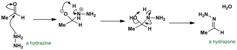 Aldehyde + hydrazine(H2NNH2) -> hydrazone 곧 시험을 치루는데 괜한 것에 힘빼는 것 아닌가 싶지만 그래도 시험에
