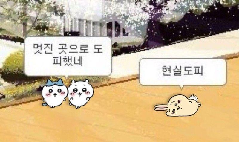 ✧ ˖˚˳⊹ 일기장 제목의 이유