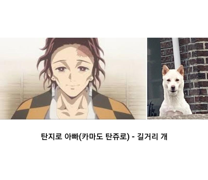 이 정도 아니면 좀 비비지 마라