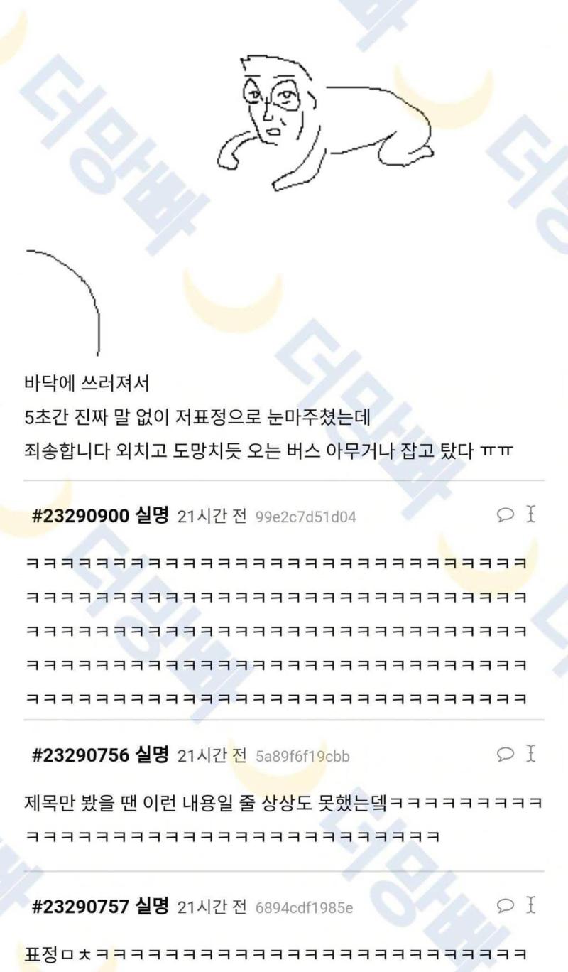 모르는 사람 널뛰기 시켜준