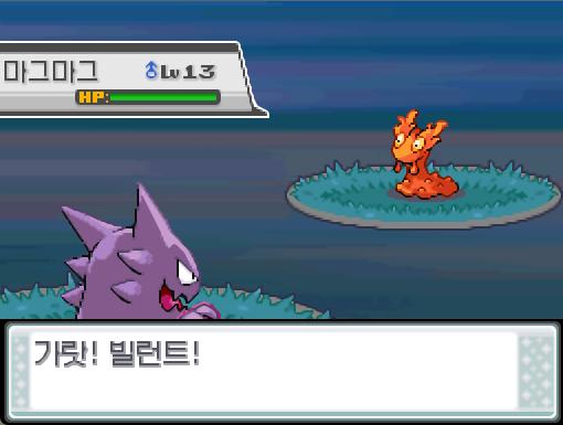 앗! 야생 마그마그가 튀어나왔다! 36번도로에서 포켓몬과 만날 수 있는 횟수: 최대 1회/현재 1회 36번도로에서 트레이너와 배틀할 수 있는 횟