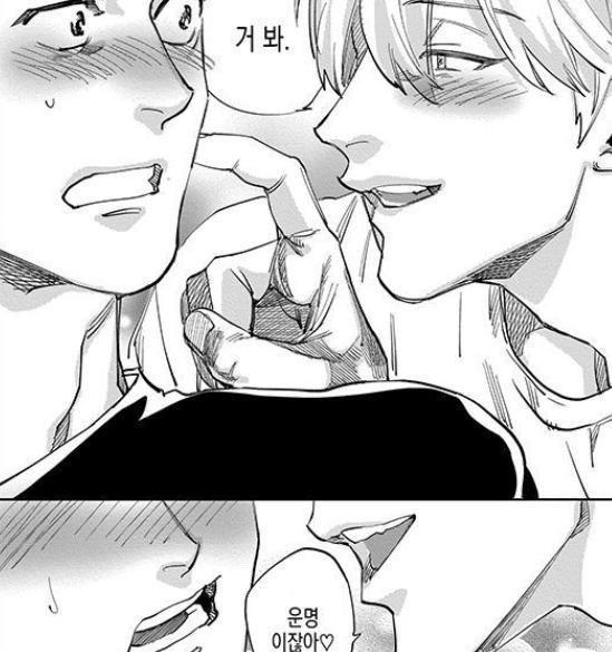 순애........라고 봐야되나