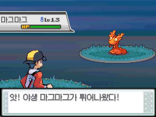 앗! 야생 마그마그가 튀어나왔다! 36번도로에서 포켓몬과 만날 수 있는 횟수: 최대 1회/현재 1회 36번도로에서 트레이너와 배틀할 수 있는 횟
