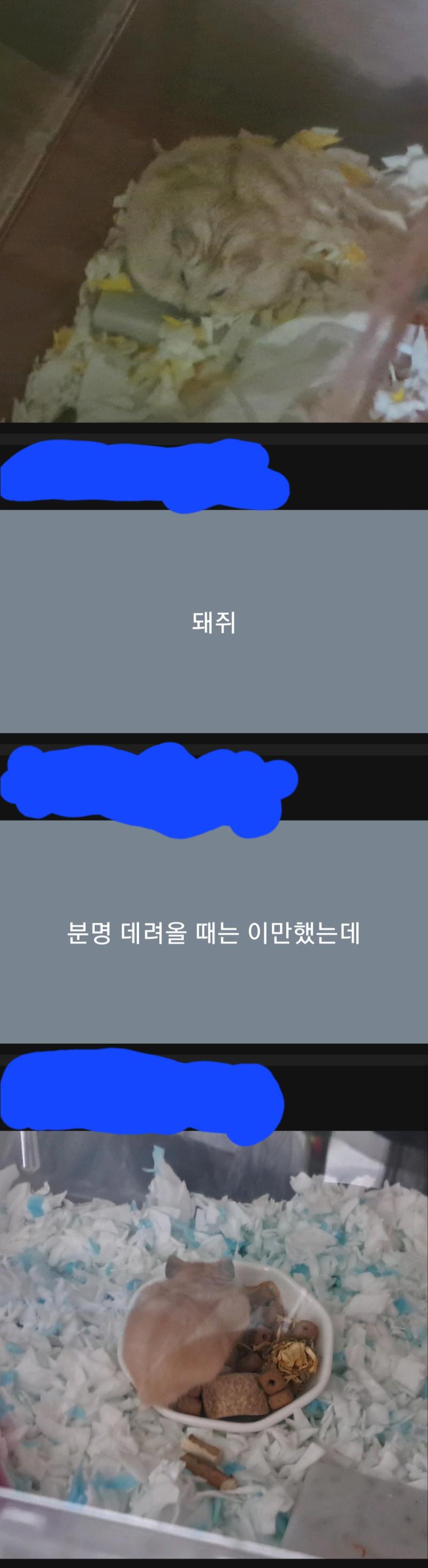 내 소박한 웃음지뢰
