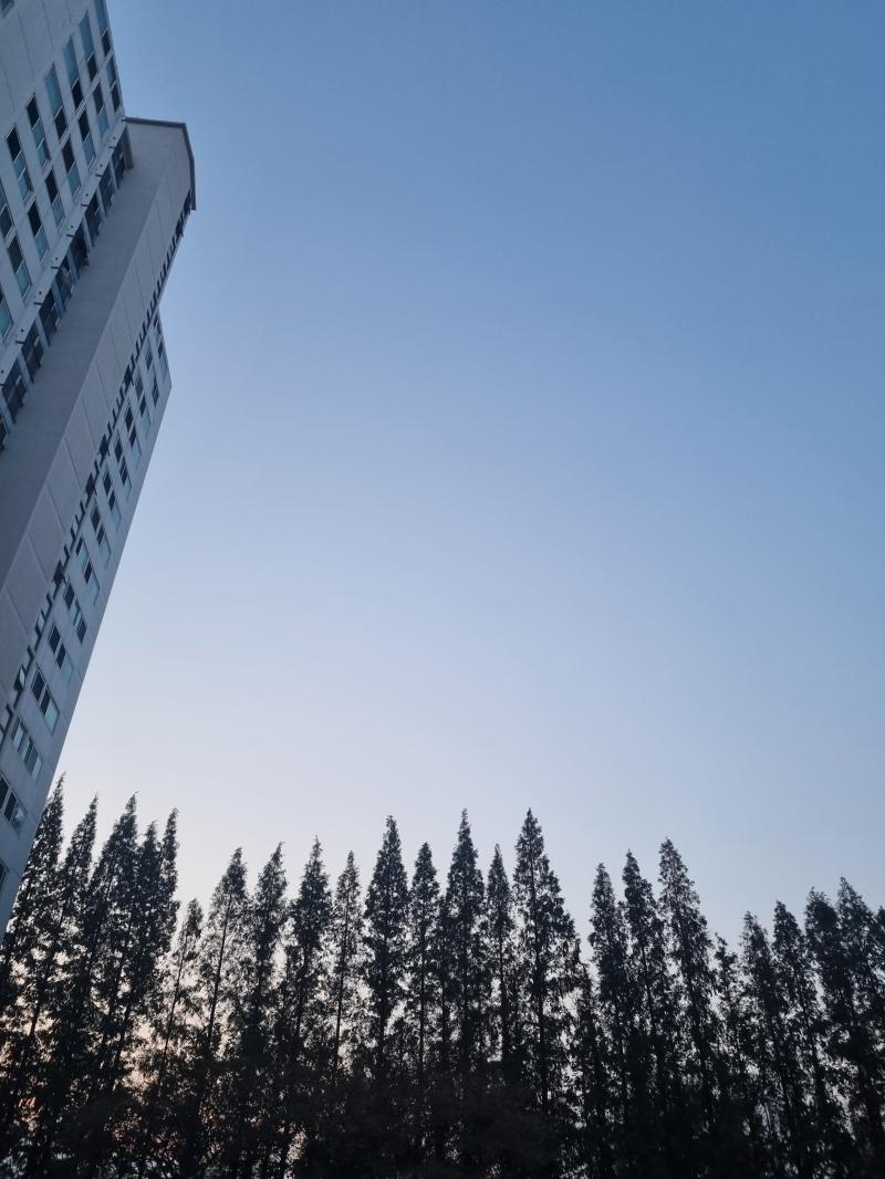 산책 나왔다