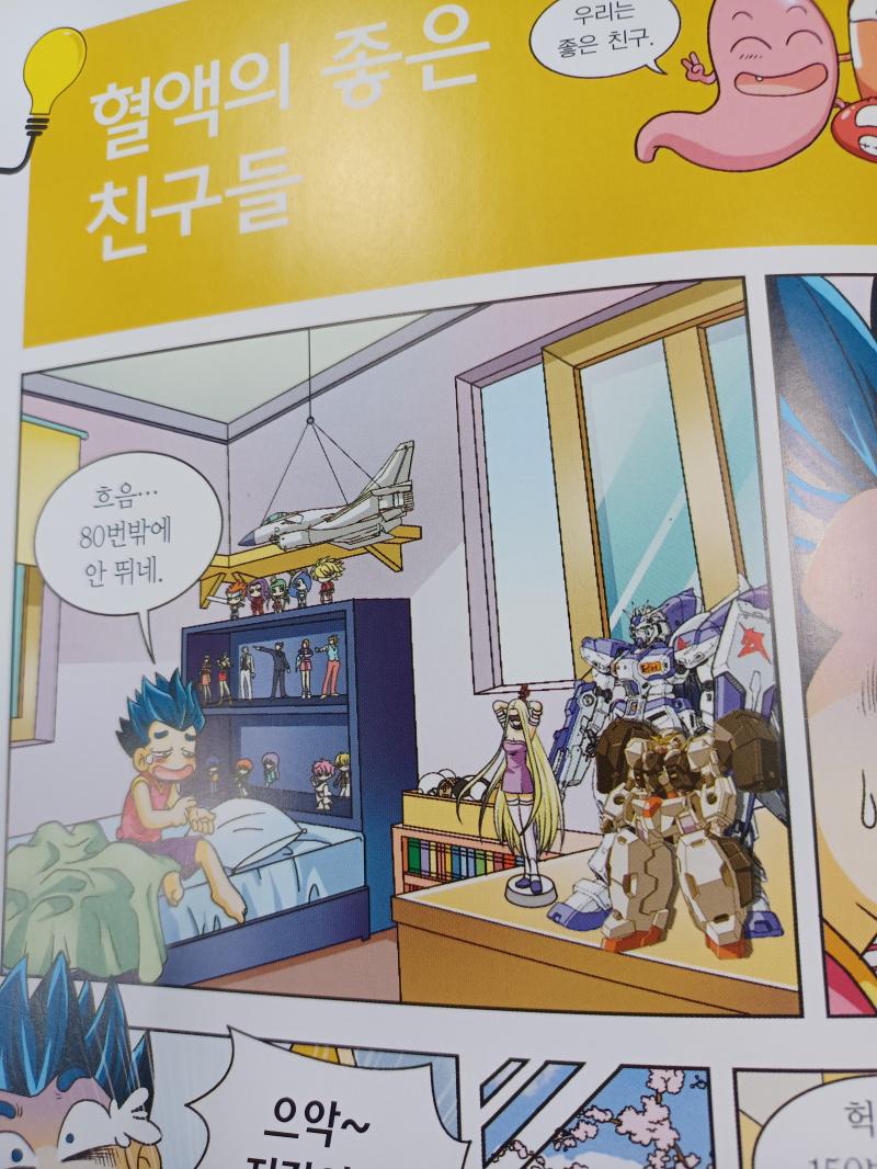 주운 짤인데 초등학생이 이런 피규어 사도 됨?