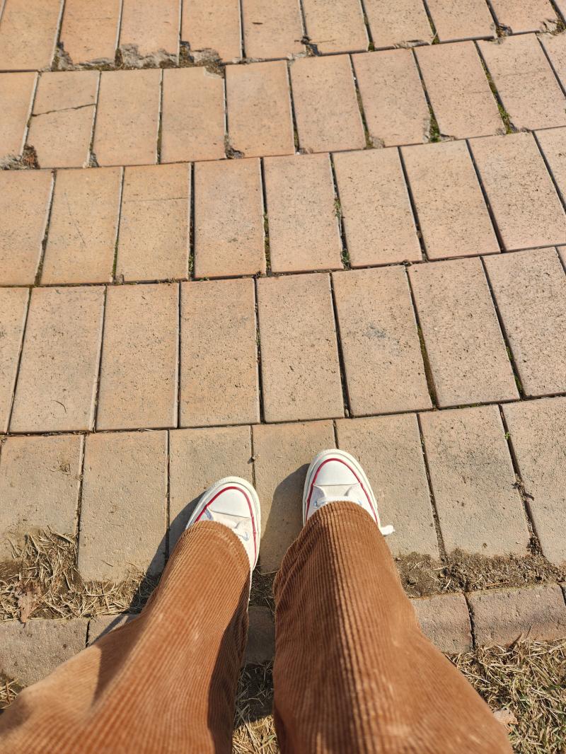 패논패 교양 째고 여유를 즐기는 중 겨울 치곤 햇빛이 따사롭고 바람은 차가워서 음악 들으며 앉아있기 딱 좋다 지듣노- Mrs. Green app