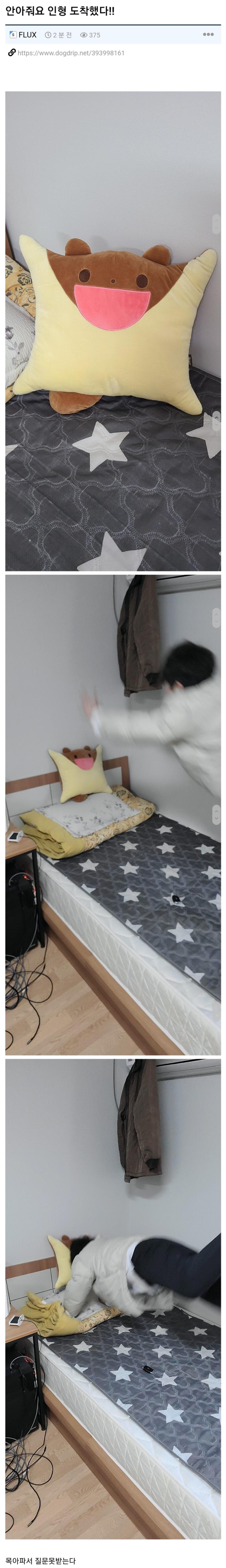 안아줘요 인형 후기