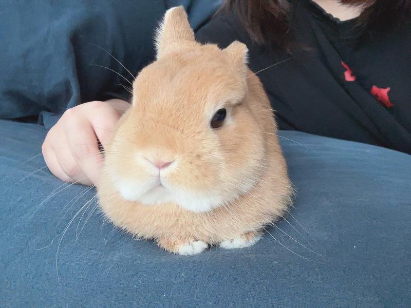 행복하세요