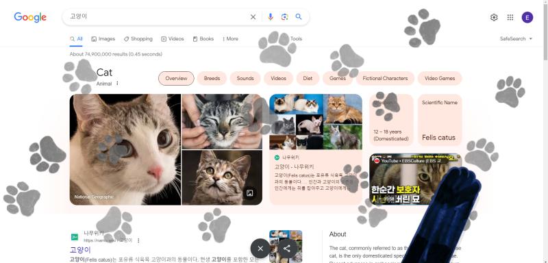 누가 드럽고귀여운젤리로 화면 밟았어
