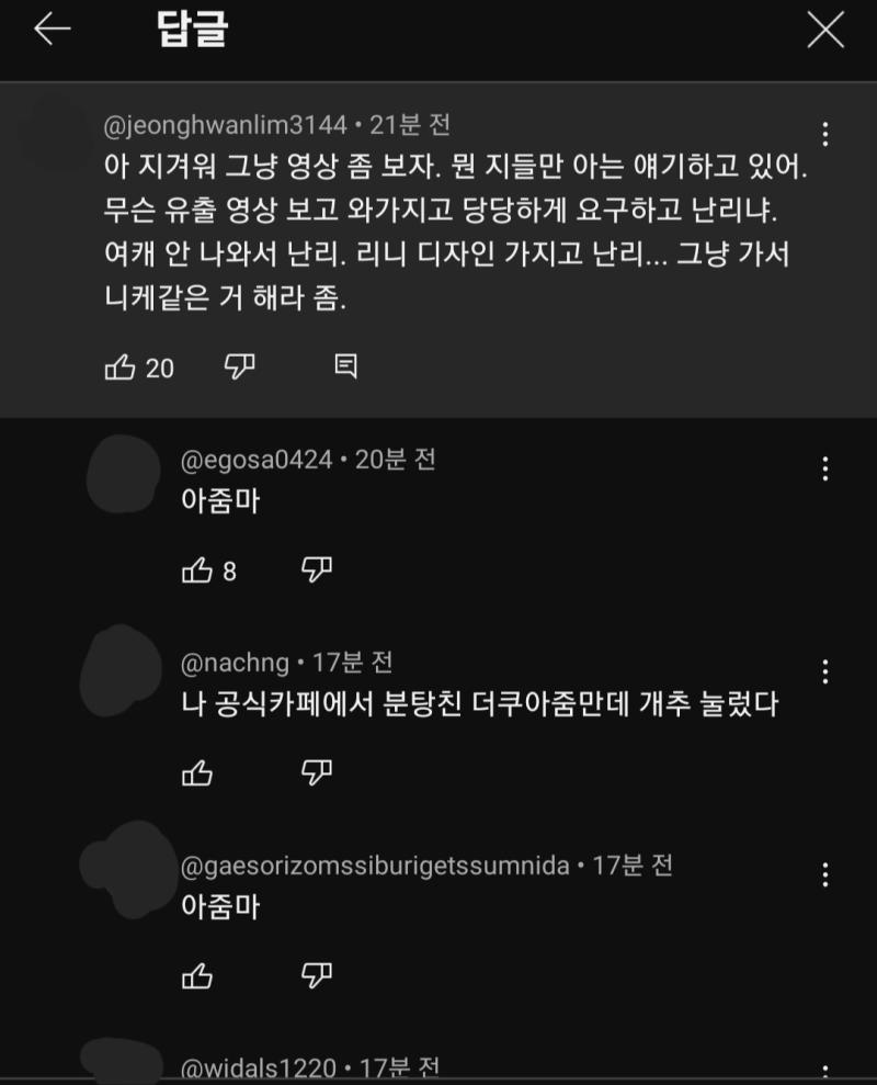 프리미엄 라운지 리뷰영상인데 얘네 진짜 그 특유의 더러운 성질은 절대 숨기지 않고 참을 생각도 없네. 모든 혐오 표현을 반대한다고 하더니 음침하
