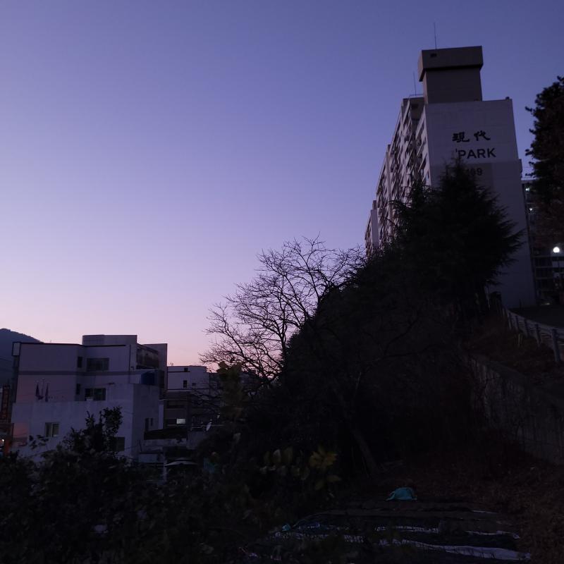 오늘 갓 찍은 따끈따끈한 사진이 나왔습니당 (첫번째는 무보정)