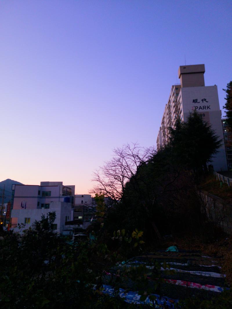 오늘 갓 찍은 따끈따끈한 사진이 나왔습니당 (첫번째는 무보정)