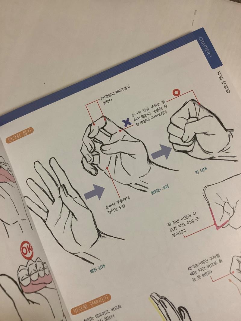 유희왕 손 작화로 유명한 애니메이터도 그럼 메갈이냐고 애초에 남혐했다는 증거랍시고 집게 손가락으로 피력하는 거 부터 자살골이었음, 그래서 넥슨이