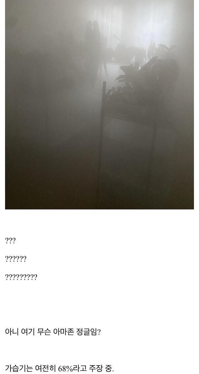 식물갤의 가습기
