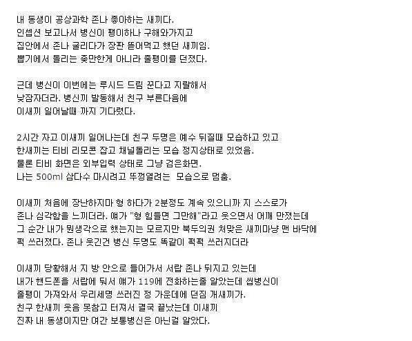 인셉션에 미쳐버린 동생