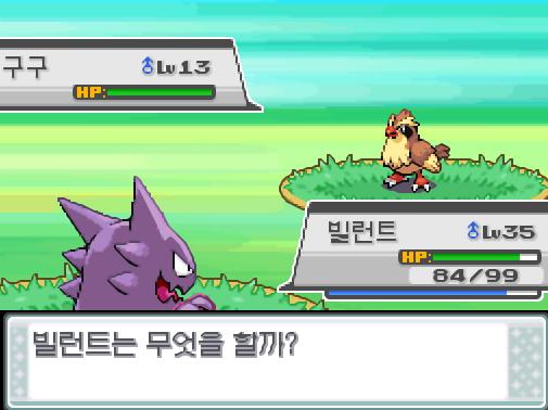 37번도로에서 포켓몬과 만날 수 있는 횟수: 최대 1회/현재 1회 37번도로에서 트레이너와 배틀할 수 있는 횟수: 최대 1회/현재 1회 37번도