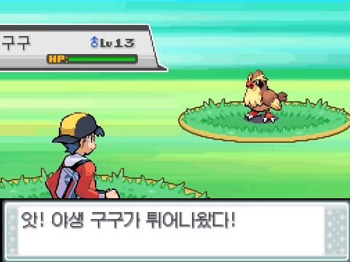 37번도로에서 포켓몬과 만날 수 있는 횟수: 최대 1회/현재 1회 37번도로에서 트레이너와 배틀할 수 있는 횟수: 최대 1회/현재 1회 37번도