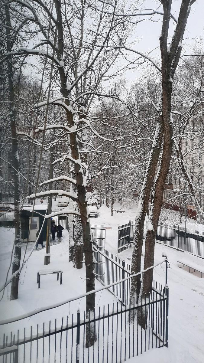 ❄️❄️❄️