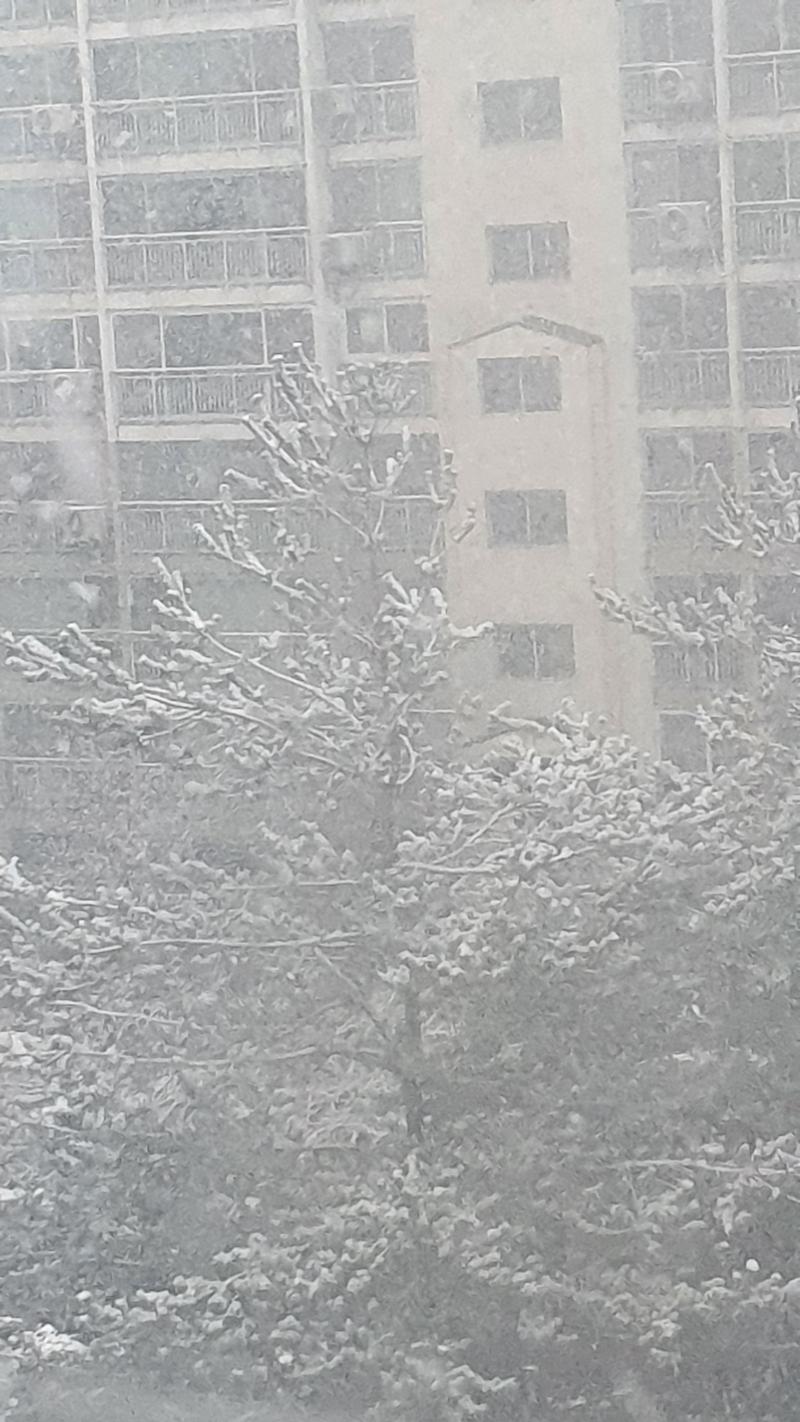 눈이다!!!