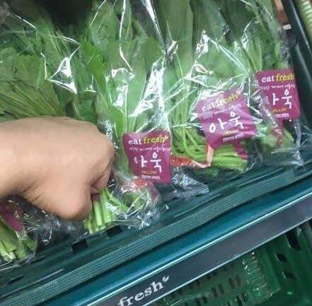 너무 뻘한데 내 최애 짤이야... 아욱을 아욱