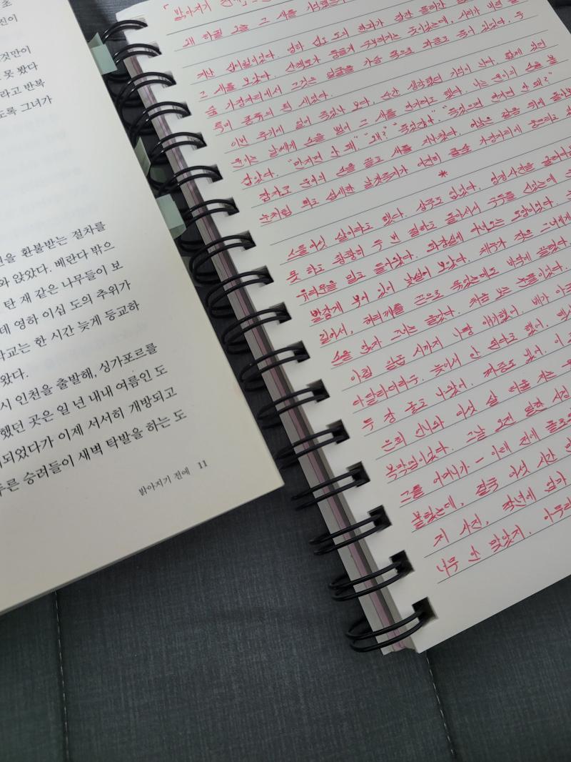 모든 필기를 검정, 파랑으로 하던 개구리 빨간 볼펜을 어디 써야하나 고민하다가 필사에 쓰고 또 한 번 저주하냐는 말을 듣다
