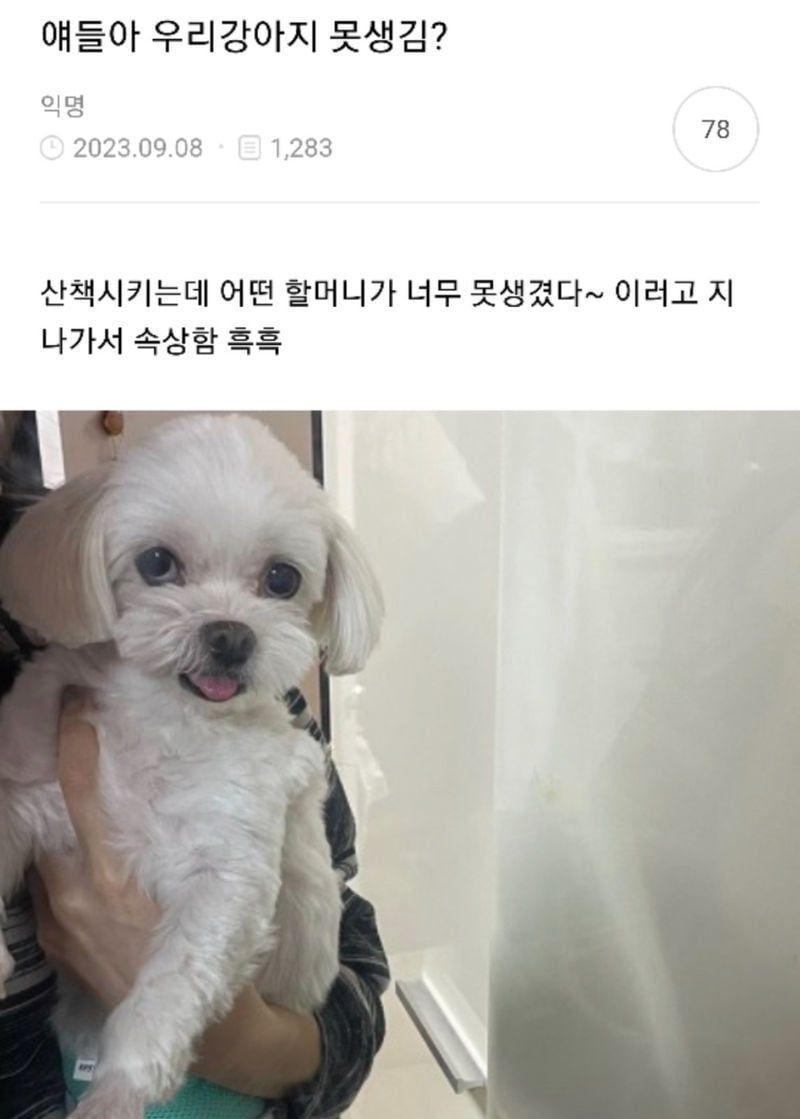 우리 강아지 못생김?