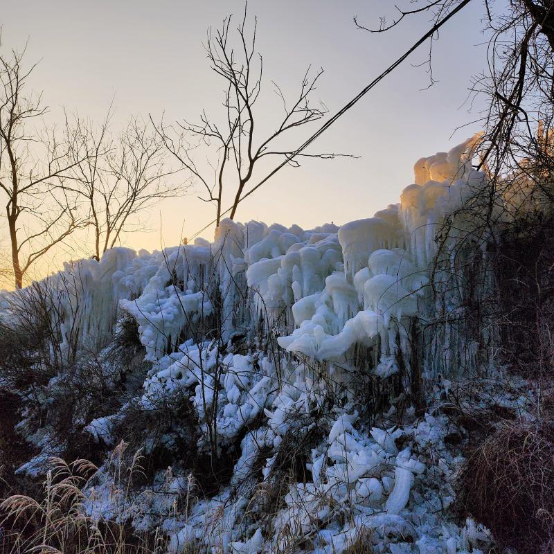 해돋이 보고 겨울왕국도 보구 옴❄️