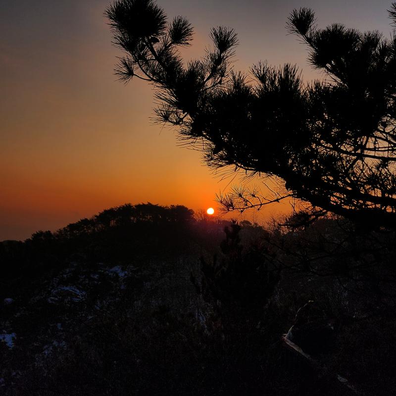 2024년 해돋이☀️