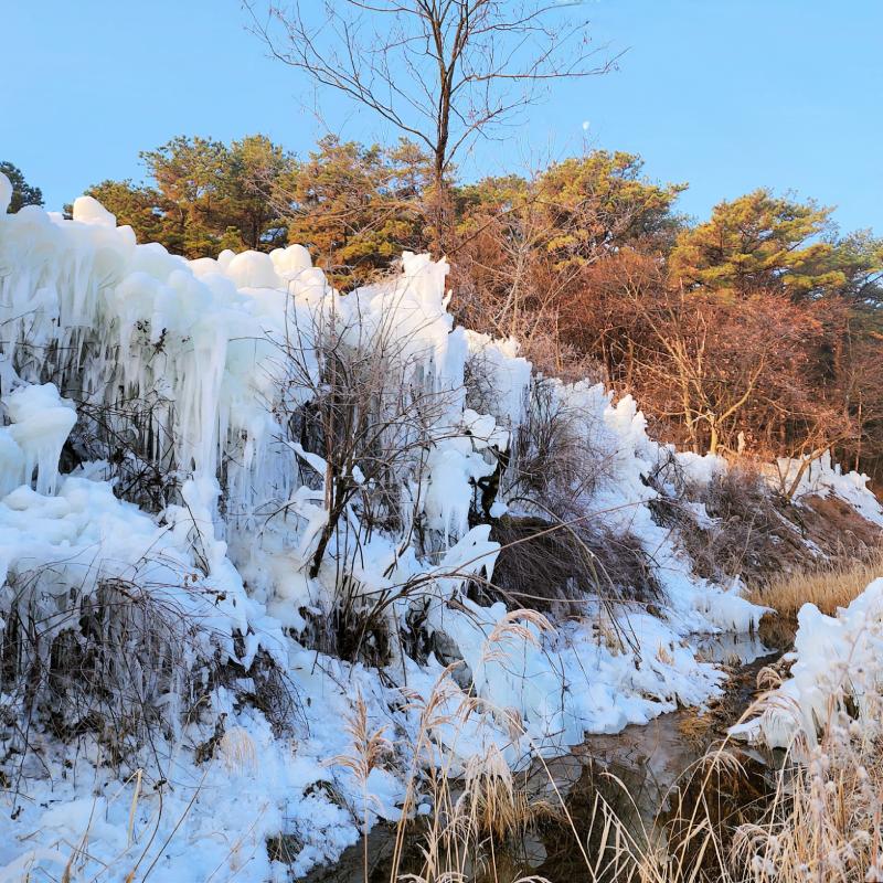 해돋이 보고 겨울왕국도 보구 옴❄️