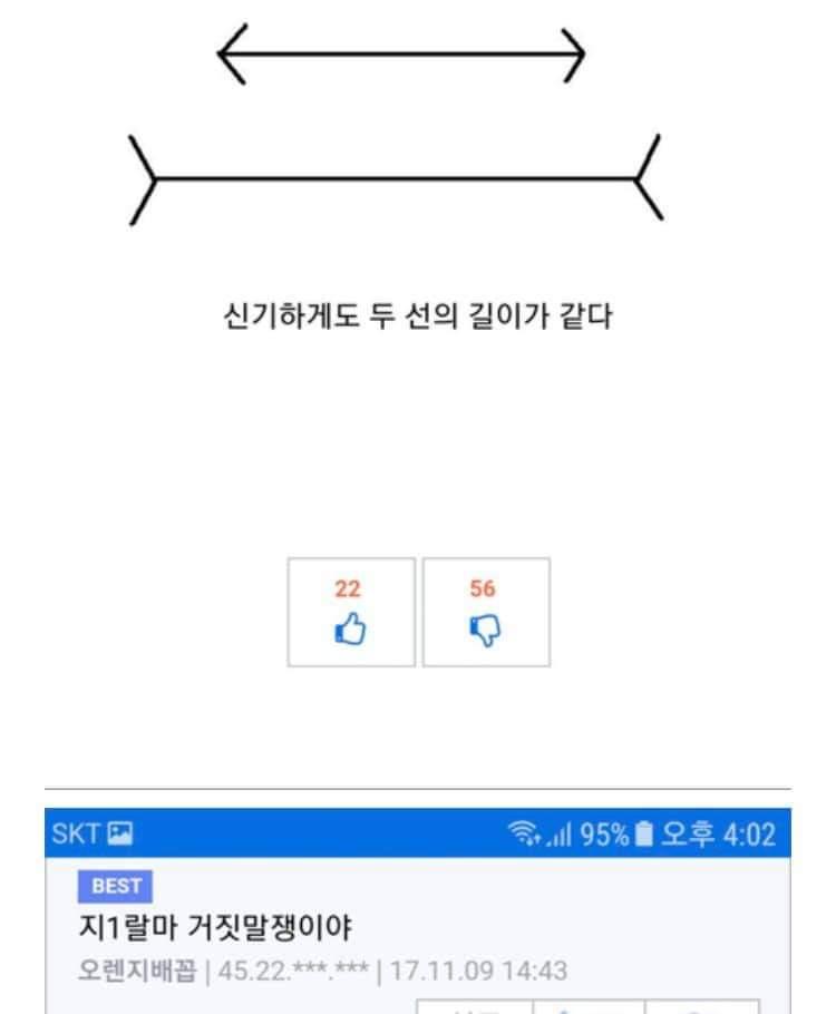 놀랍게도 두 선의 길이는 같다