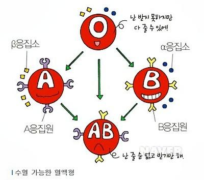 이거 약간 갤럭시랑 아이폰 생각나게 하는데