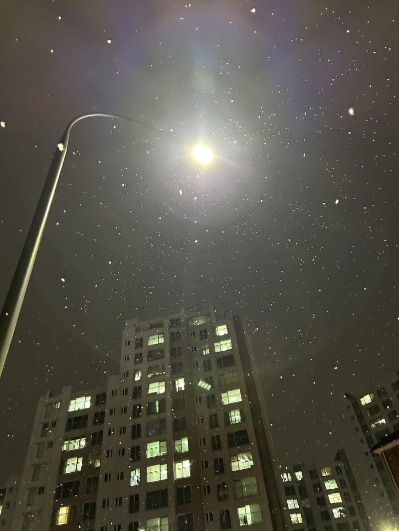 걷고있는데 눈오는거 처음인듯 머임ㅋㅋ