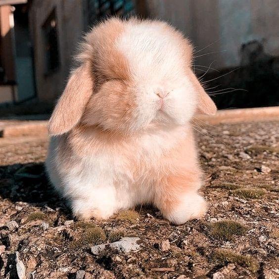 ㄱㅇㅇ