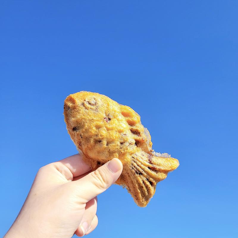 날아라 붕빵