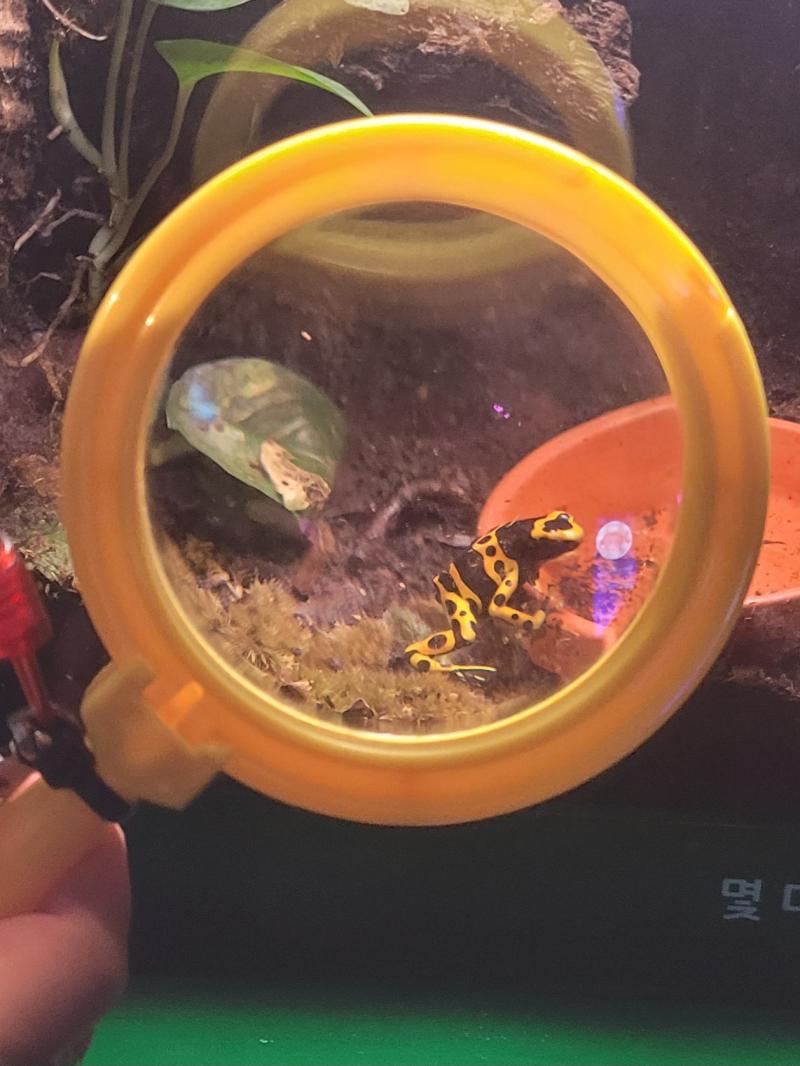 ✌️