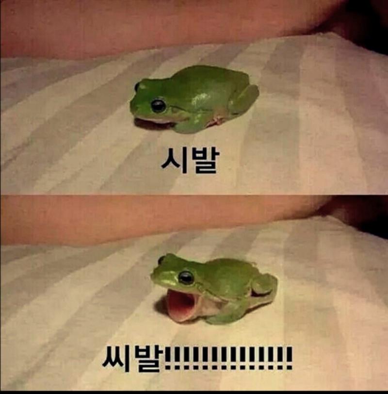 하... 귀엽게 욕하자