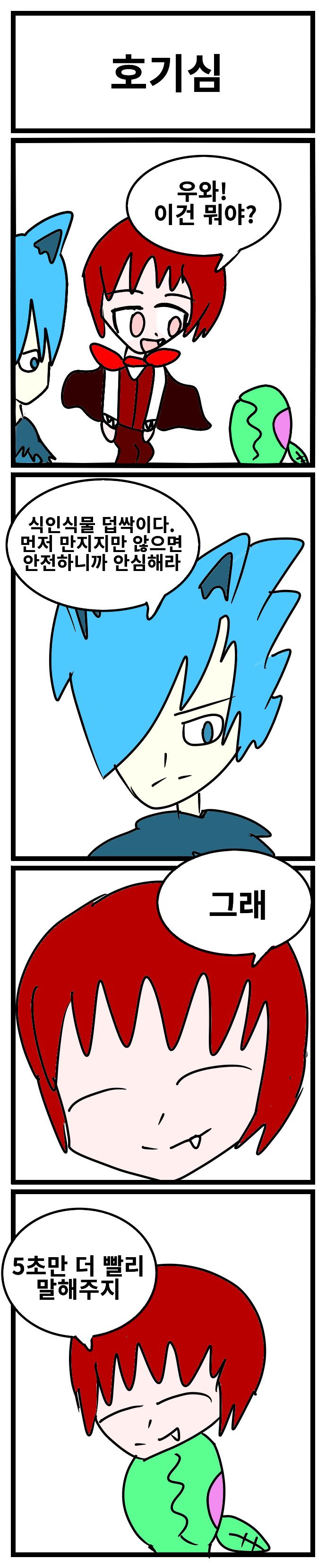 -호기심