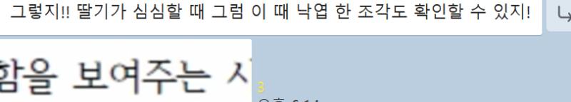 오늘 배운 시에 딸기도 낙엽도 언급 안되는데 정상적으로 수업하다가 중간에 뜬금없이 이런 메시지를 보내셨어