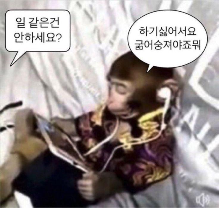 돈없는 숭숭이들