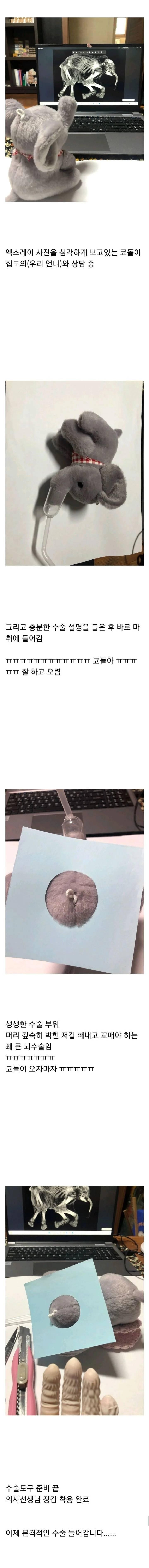 코끼리인형 수술 집도