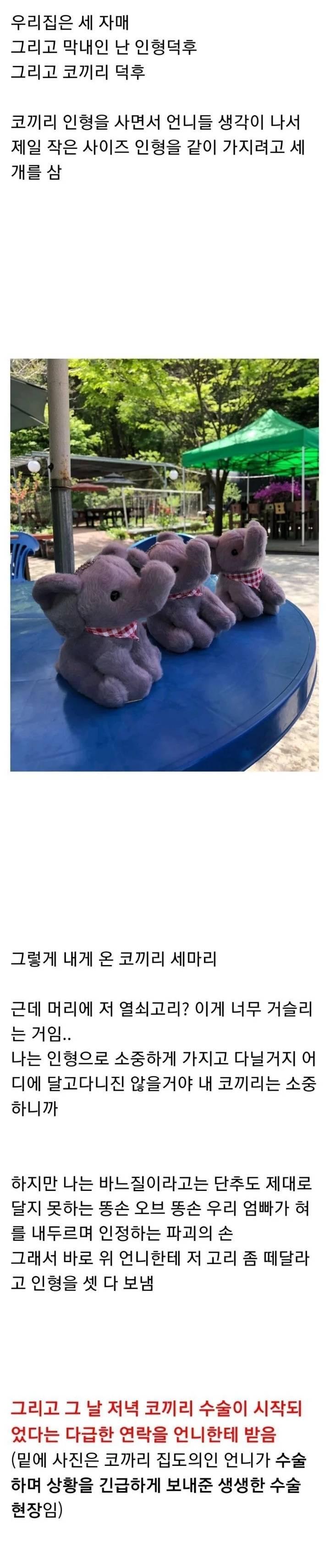 코끼리인형 수술 집도