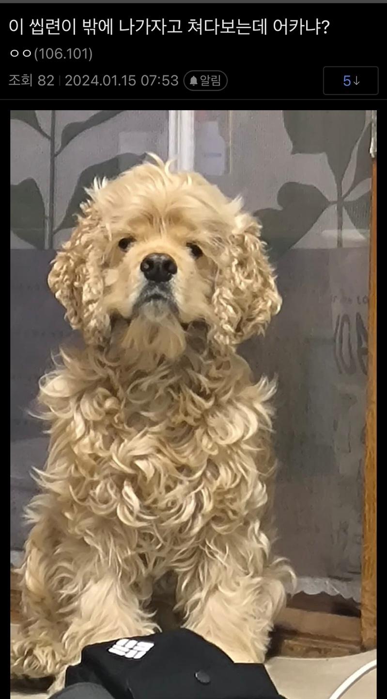 ?