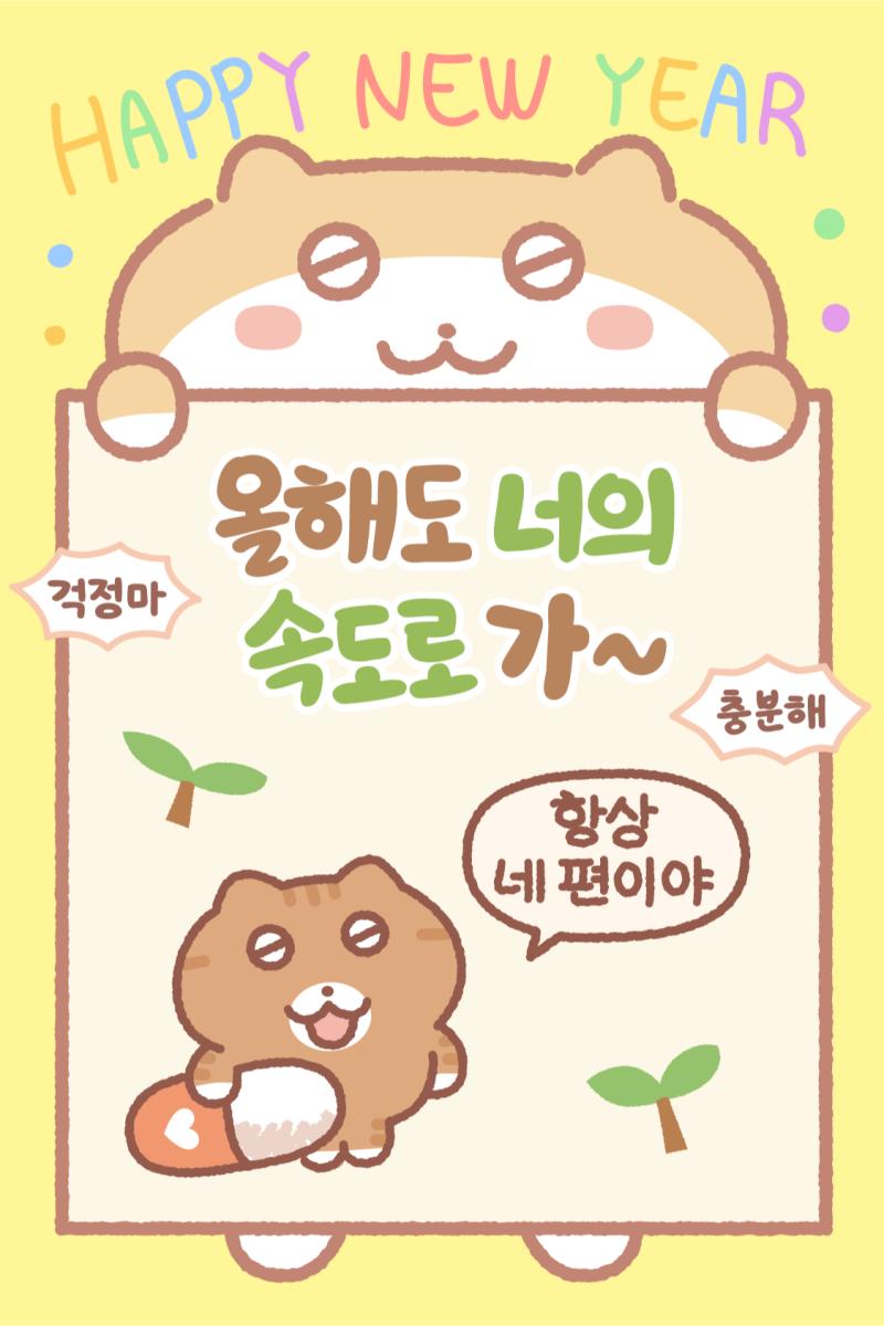 올해도