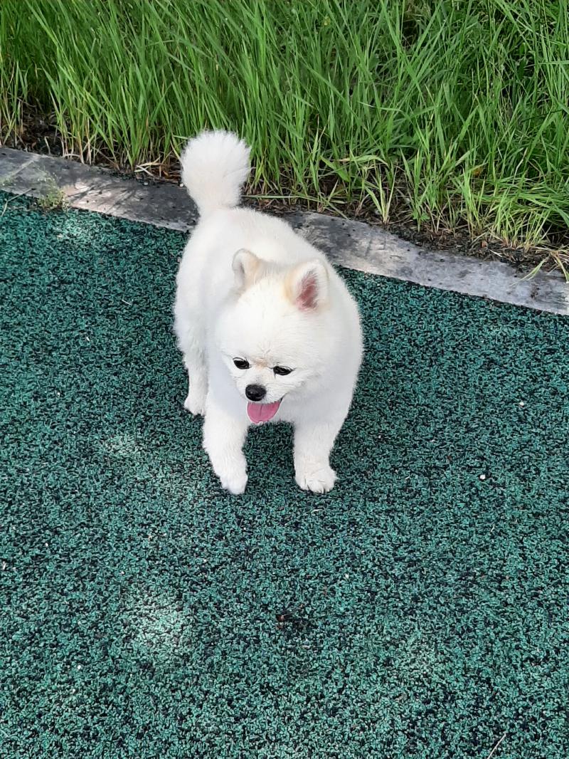 >>544 아 젠장 너무 귀여워!!! 나도 하나 던지고 감!
